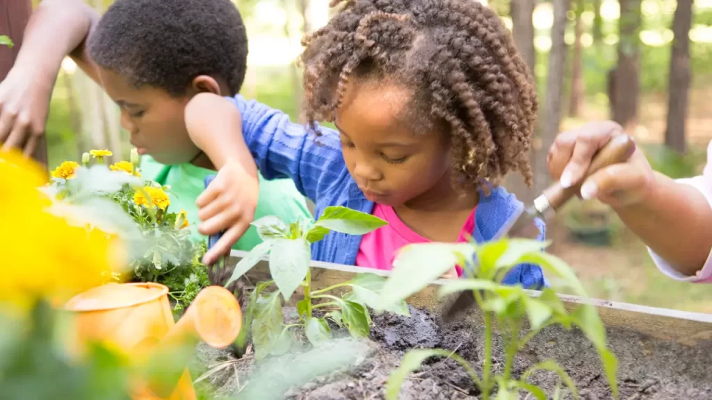 educação ambiental