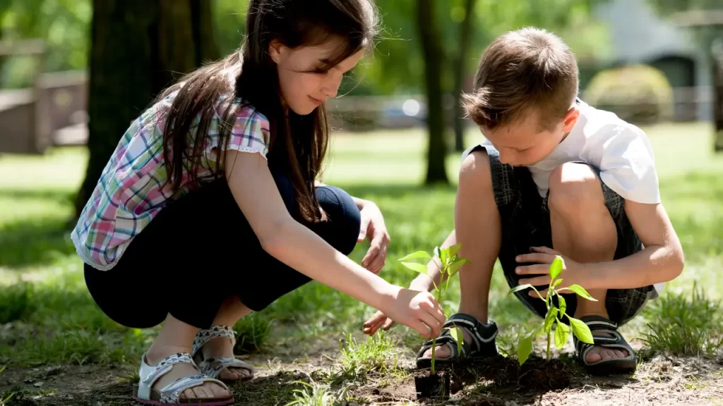 educação ambiental